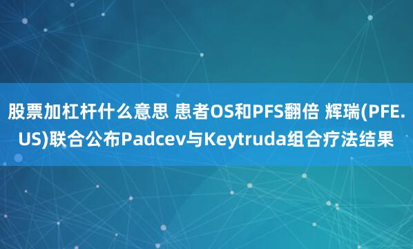 股票加杠杆什么意思 患者OS和PFS翻倍 辉瑞(PFE.US)联合公布Padcev与Keytruda组合疗法结果