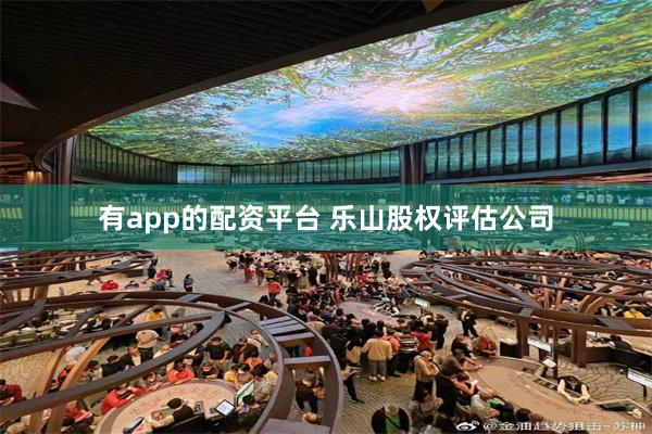 有app的配资平台 乐山股权评估公司