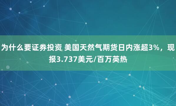 为什么要证券投资 美国天然气期货日内涨超3%，现报3.737美元/百万英热