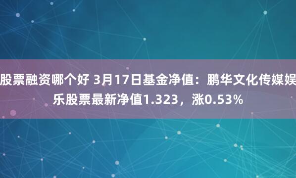 股票融资哪个好 3月17日基金净值：鹏华文化传媒娱乐股票最新净值1.323，涨0.53%